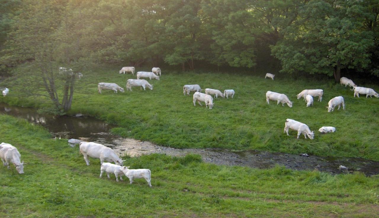 Betzemuehle 1 Bauernhof Daire Altenschlirf Dış mekan fotoğraf